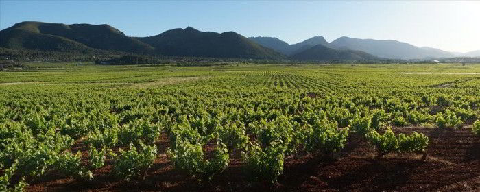 jalon valley vineyards karma properties spain