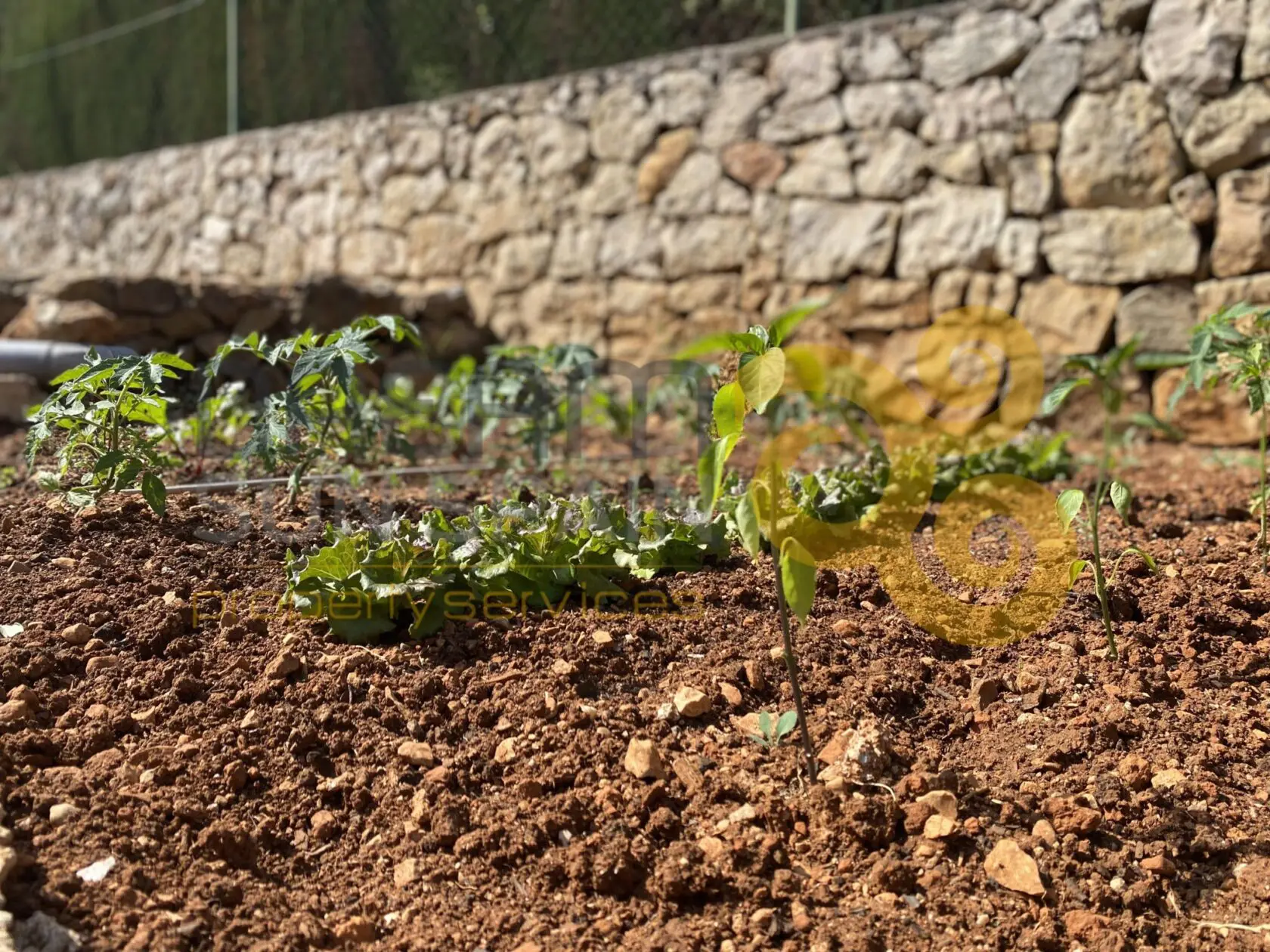 unabhängiges Chalet (27)