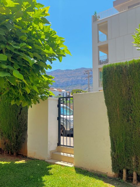 Copia de IMG_5240