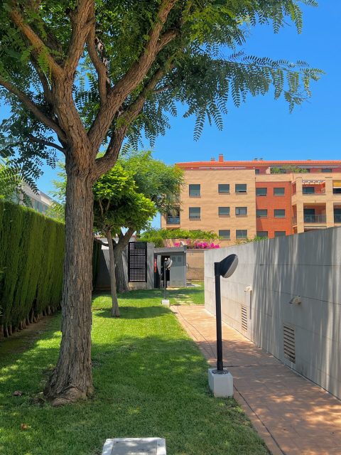Copia de IMG_5243