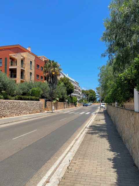 Copia de IMG_5256