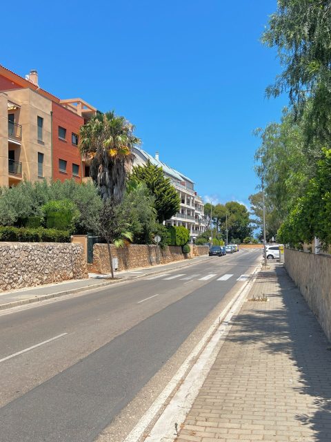 Copia de IMG_5257