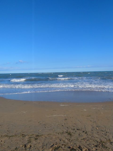 IMG-20250722-WA0003